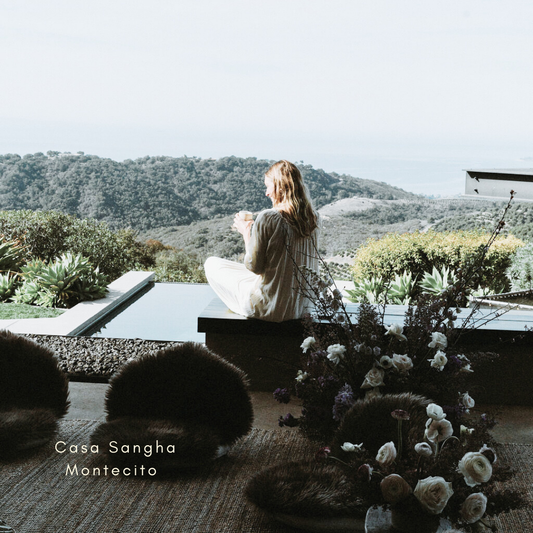 THERE WILL BE TEARS: Julianna Barwick + Mary Lattimore February 22nd