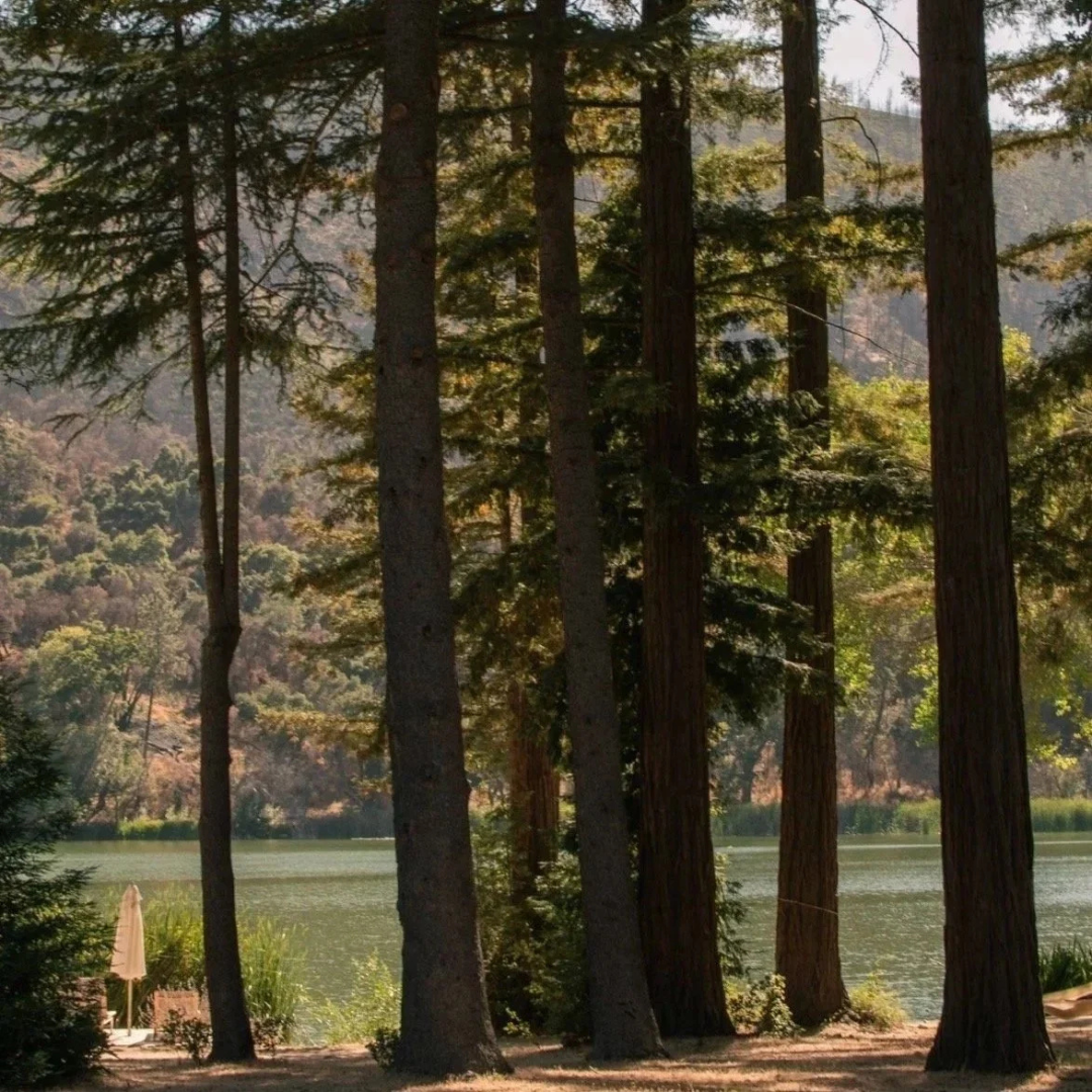 The Deepening | A Somatic Journey at Zaca Lake Saturday September 19th