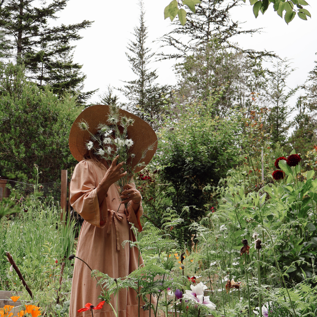 Ancient Growth Mendocino Retreat October 1st-4th