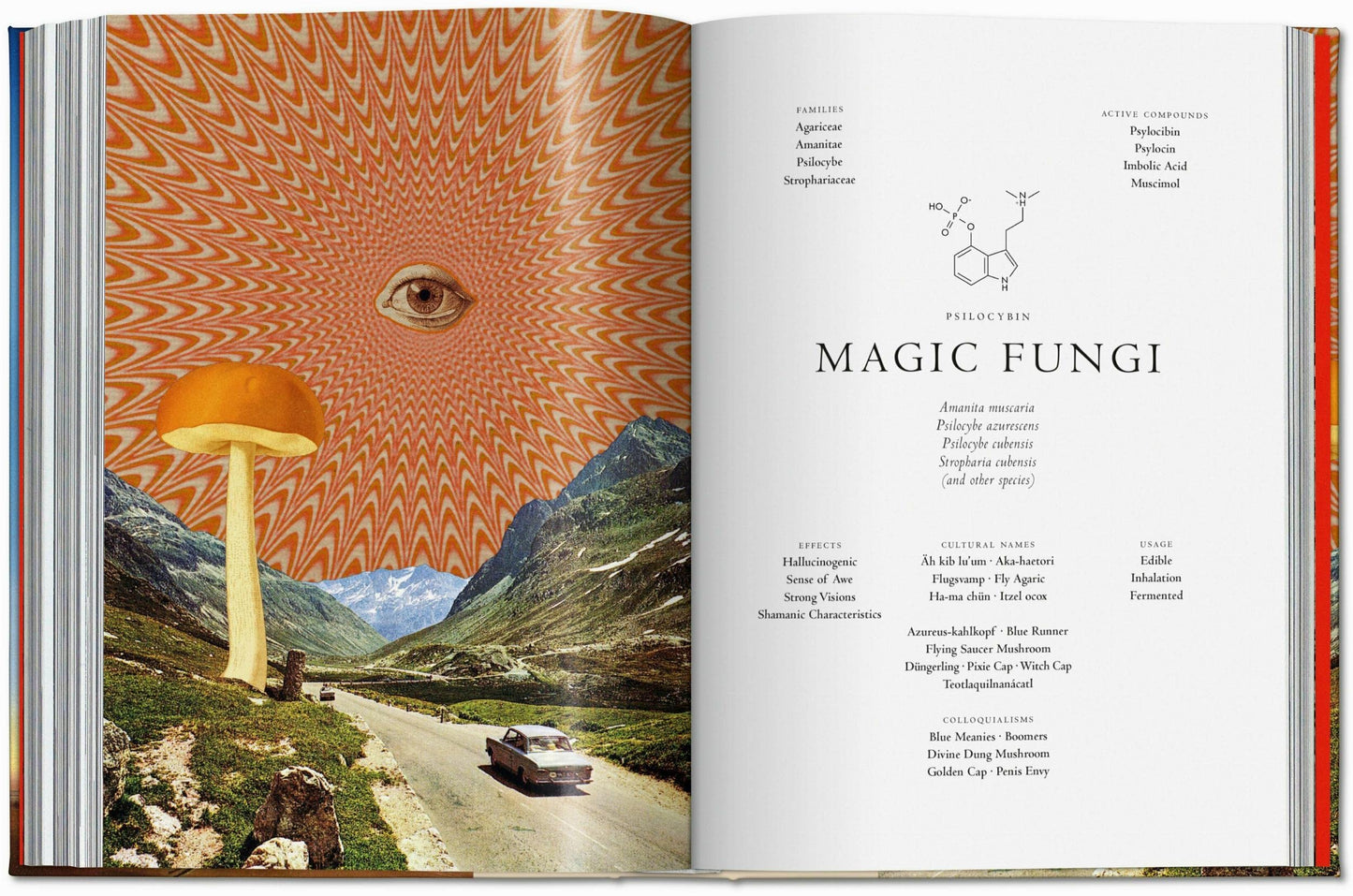 Plant Magick - The Library of Esoterica