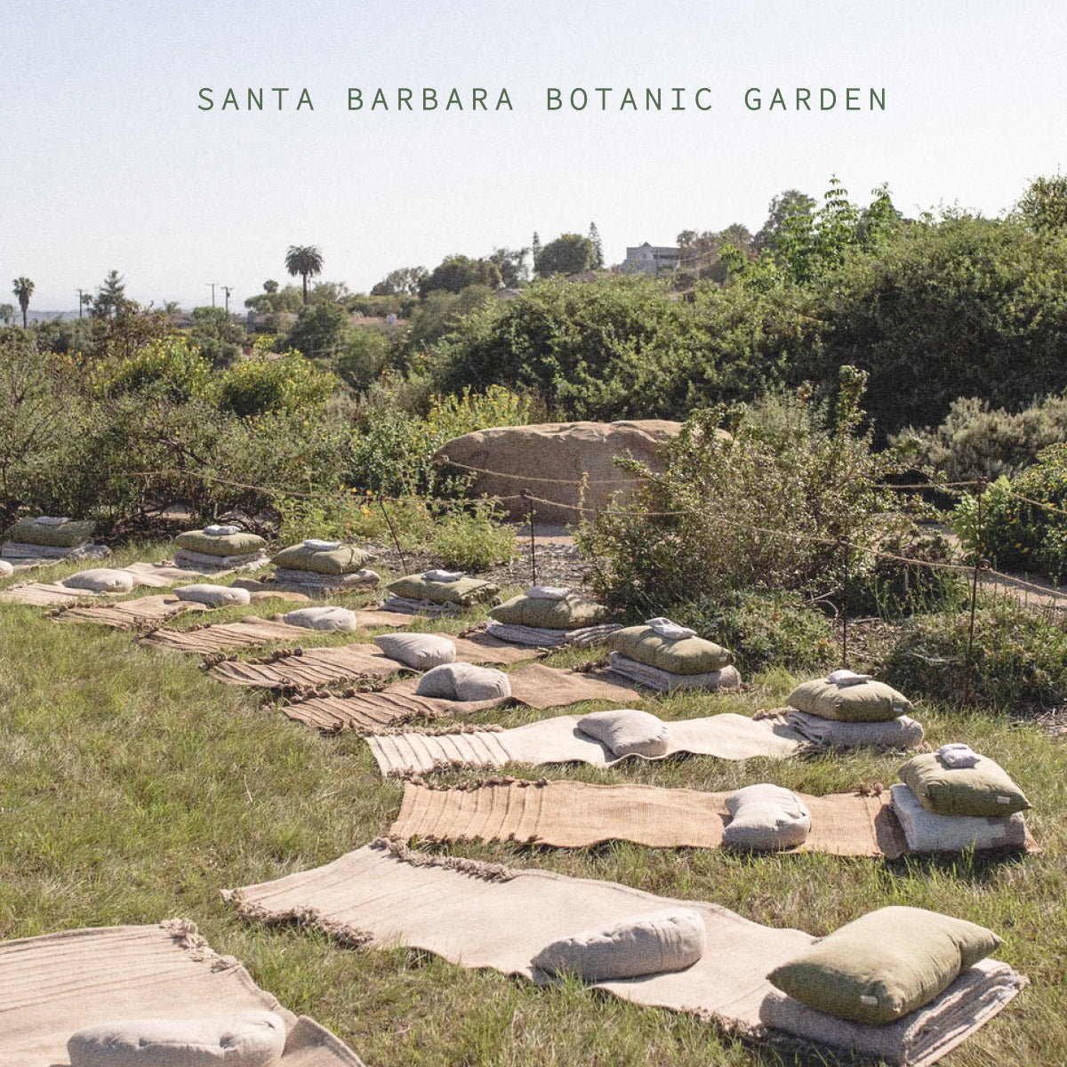 Clear + Restore Breathwork with Jeremy Strubel at Santa Barbara Botanic Garden Tuesday November 18th