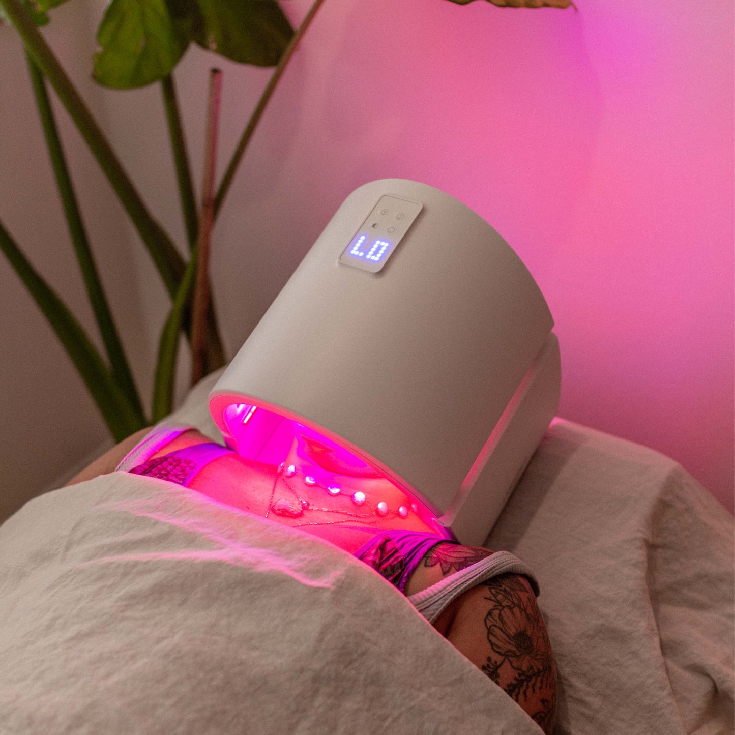 The PALMA Meditation: 25 min