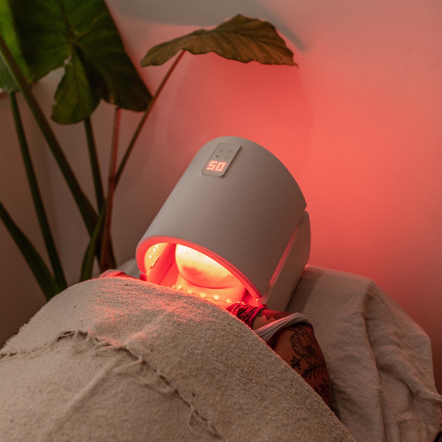 The PALMA Meditation: 25 min