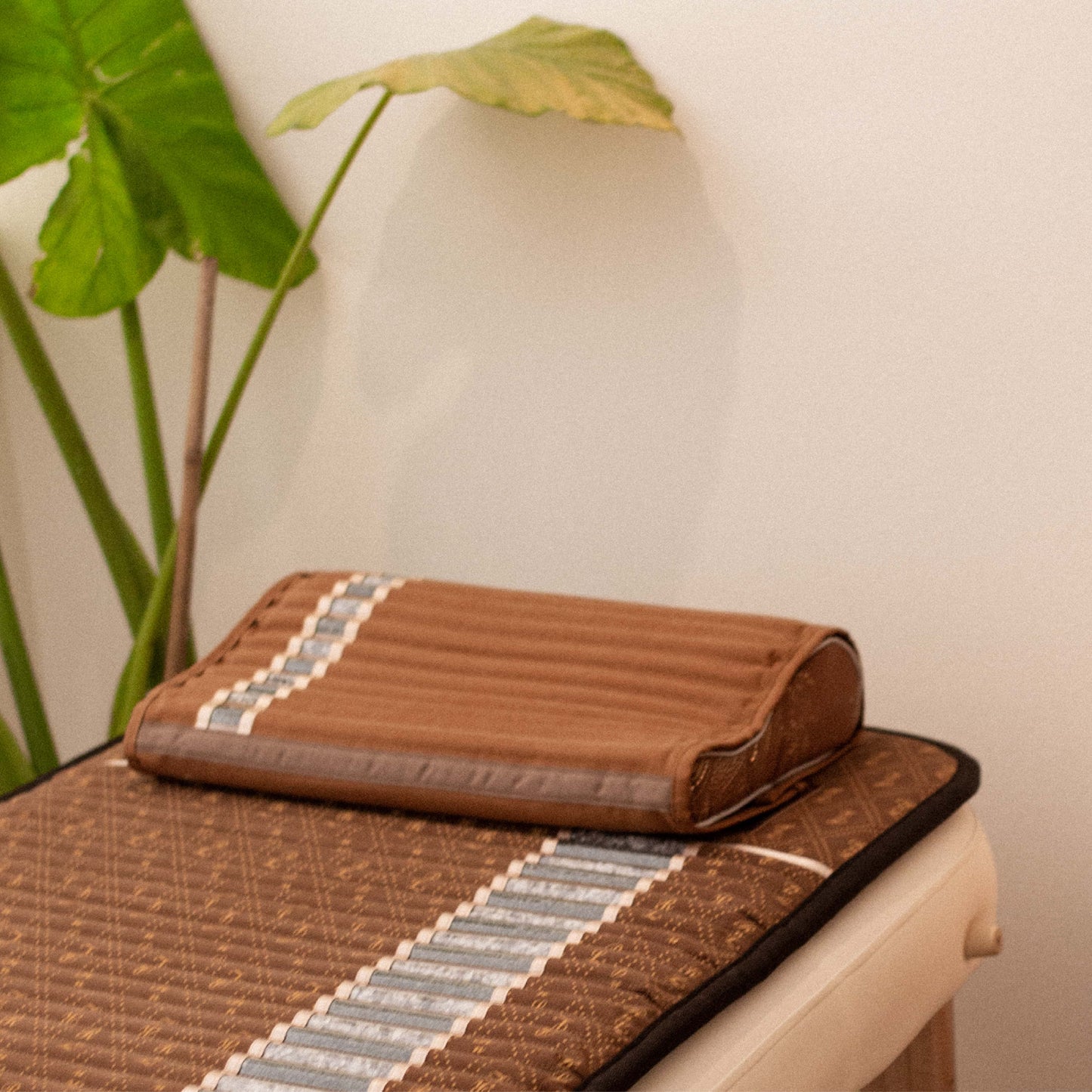 The PALMA Meditation: 25 min