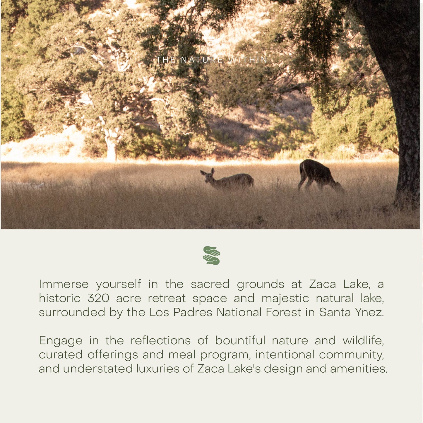 THE NATURE WITHIN PALMA Colectiva at Zaca Lake February 2nd to 4th 2024