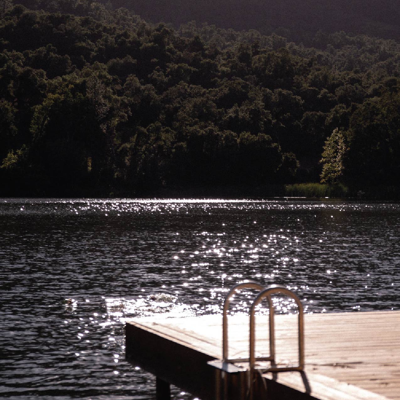 THE NATURE WITHIN PALMA Colectiva at Zaca Lake February 2nd to 4th 2024