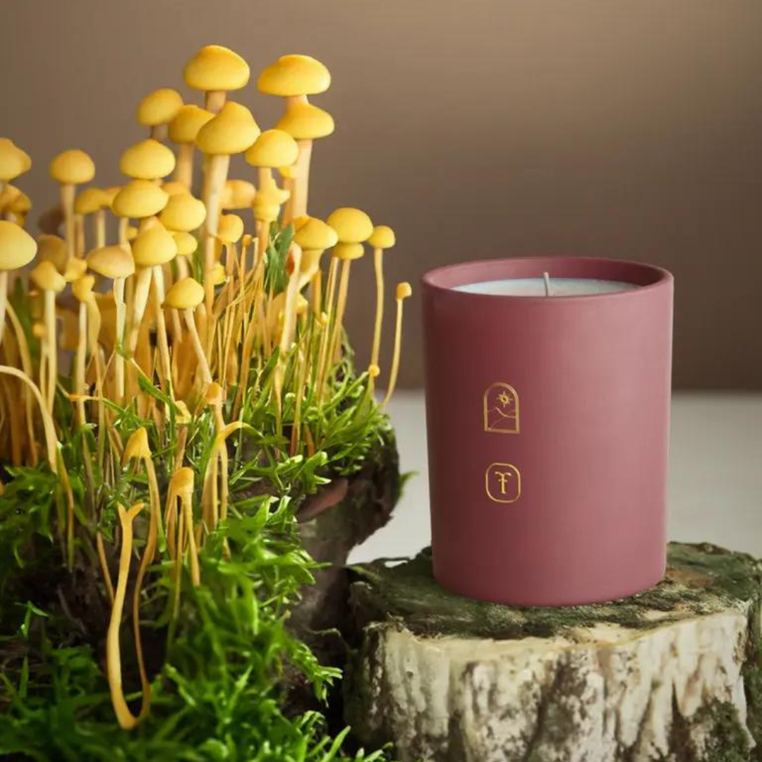 Sacred Spores Candle