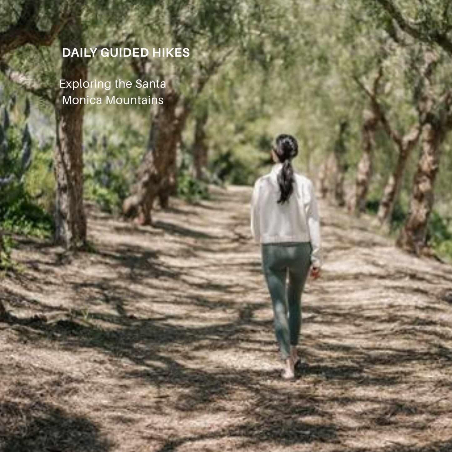 ATTUNEMENT: A Mid Summer Reset at THE RANCH Malibu July 23rd-26th
