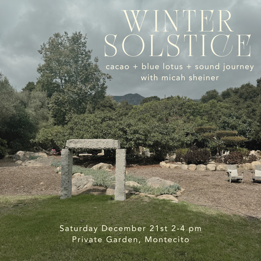 Winter Solstice Cacao + Blue Lotus + Sound with Micah Sheiner Saturday December 21st