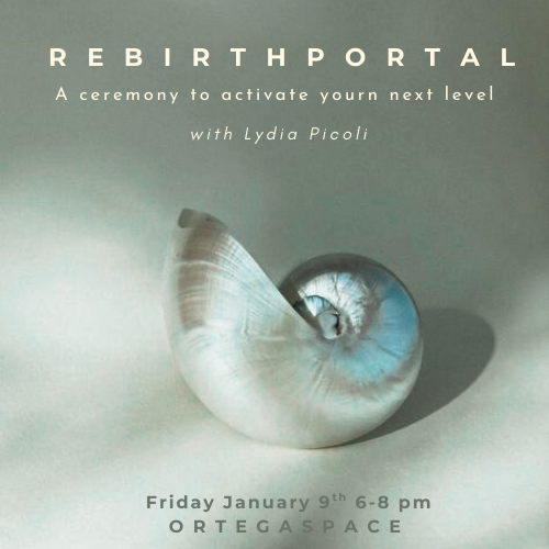Rebirth Portal with Lydia Picoli Friday January 9th