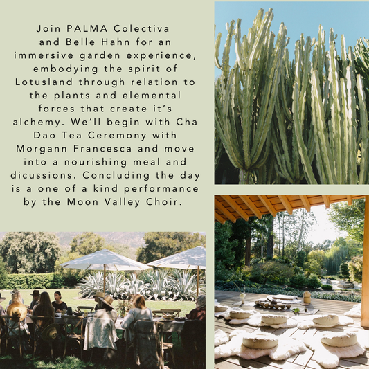 Spirit Garden at Lotusland Frdiay September 25th