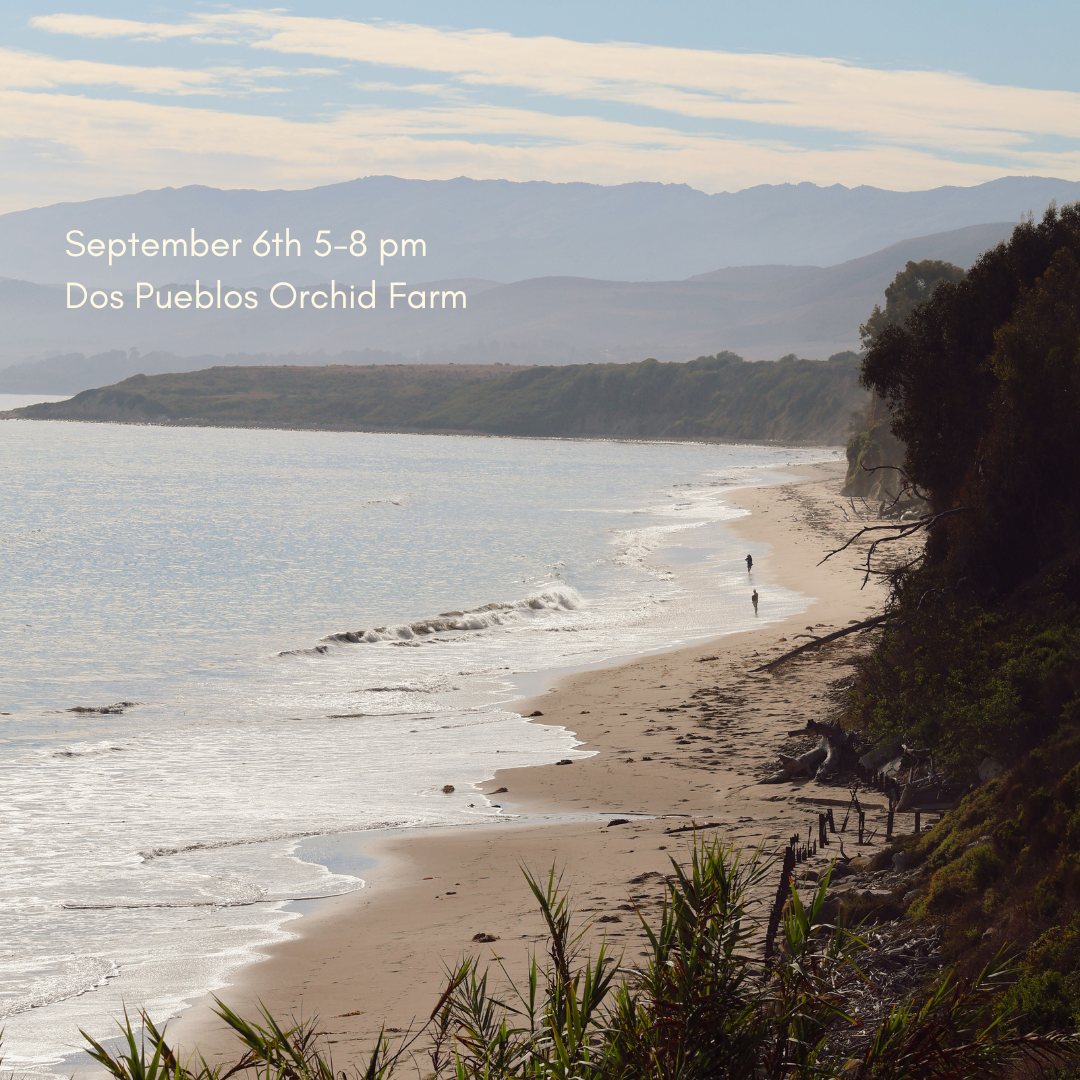 The Mirror with Carly Jo at Dos Pueblos Orchid Farm September 6th
