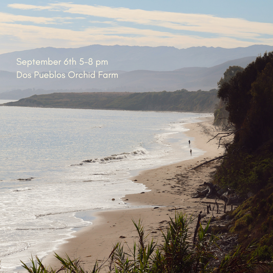 The Mirror with Carly Jo at Dos Pueblos Orchid Farm September 6th
