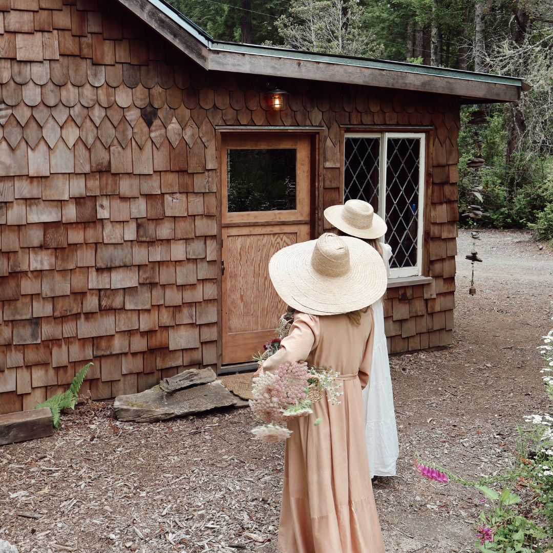 Ancient Growth Mendocino Retreat October 1st-4th