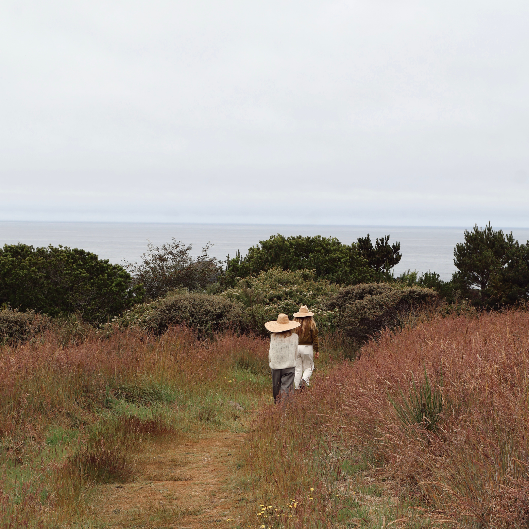 Ancient Growth Mendocino Retreat October 1st-4th