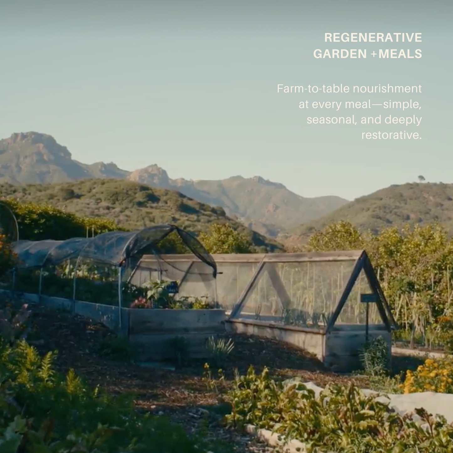 ATTUNEMENT: A Mid Summer Reset at THE RANCH Malibu July 23rd-26th