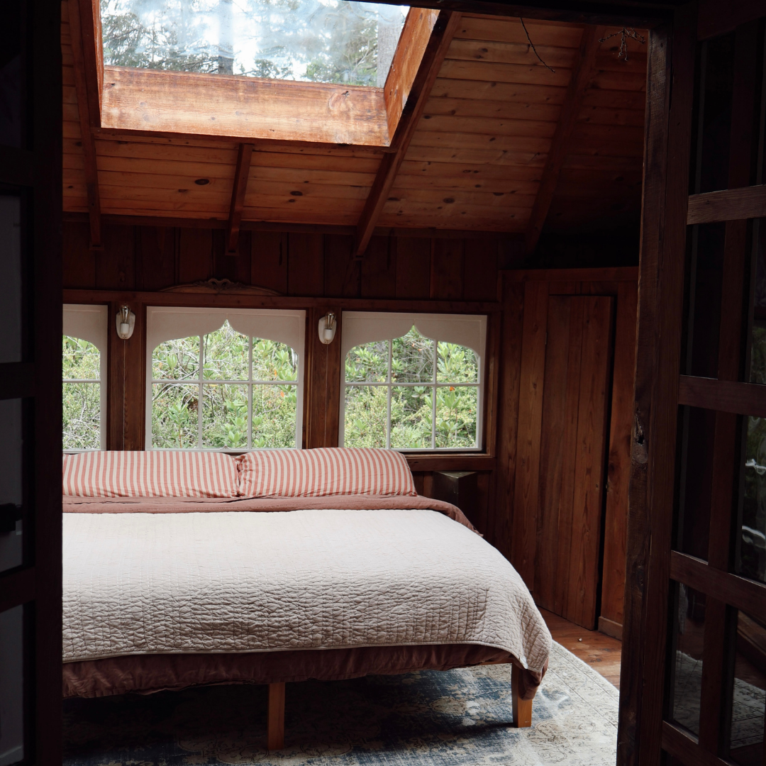 Ancient Growth Mendocino Retreat October 1st-4th