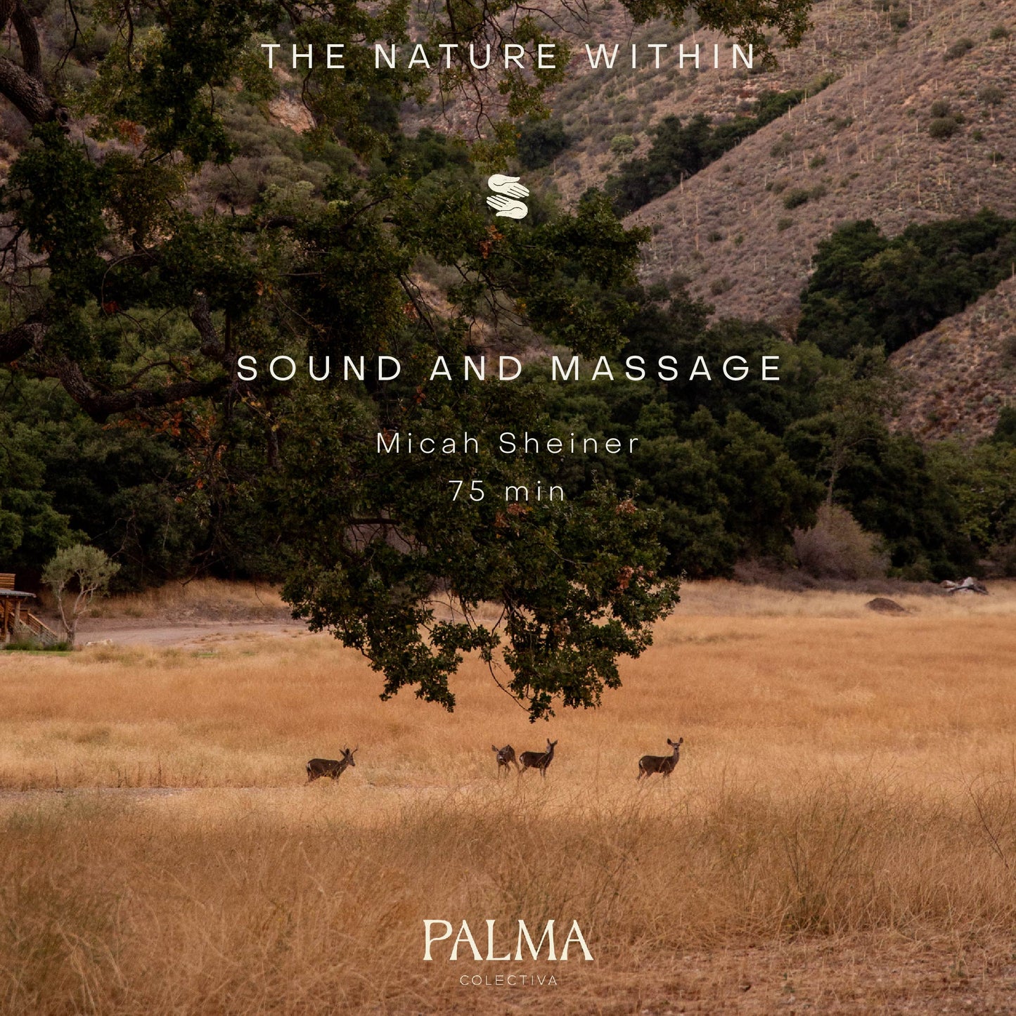 Sound and Massage (75 min) with Micah Sheiner at THE NATURE WIHIN RETREAT