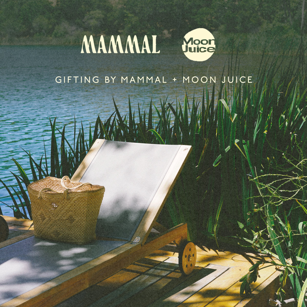 AGUA SAGRADA Day Retreat at Zaca Lake with RITUEL Saturday June 28th