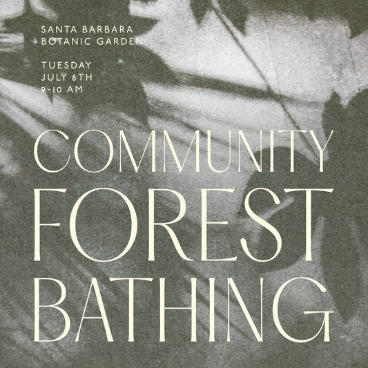 Community Forest Bathing at Santa Barbara Botanic Garden with Giuliana Mottin Tuesday July 8th 9-10 am