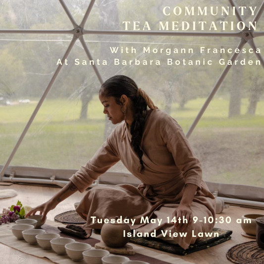 Community Tea Meditation at Botanic Garden with Morgann Francesca Tuesday May 14th