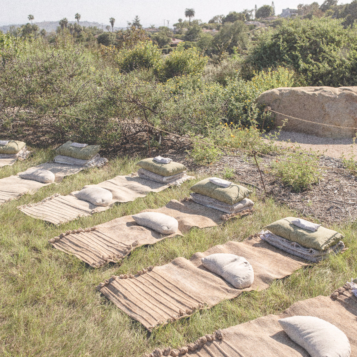 Elemental Soundscapes with Micah Sheiner at Santa Barbara Botanic Garden Wednesday April 9th