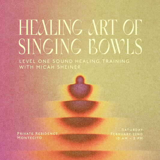 Healing Art of Singing Bowls: Level One Sound Healing Training with Micah Sheiner Saturday February 22nd