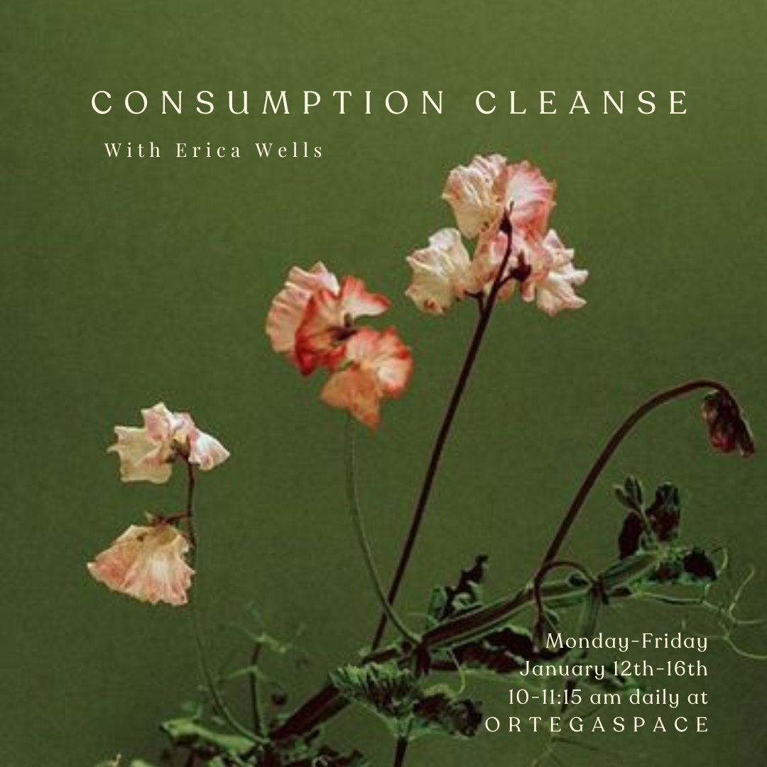 Consumption Cleanse with Erica Wells January 12th-16th