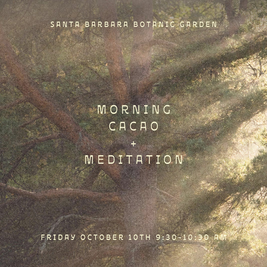 Morning Cacao Meditation + Sound at Santa Barbara Botanic Garden Friday October 10th
