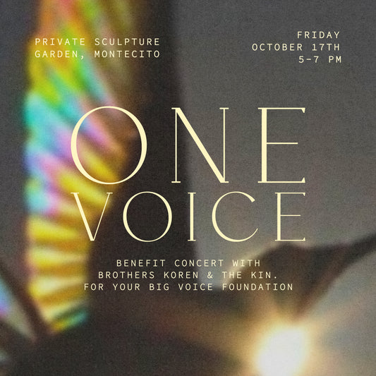 One Voice: A Benefit Concert With The Brothers Koren Friday October 17th
