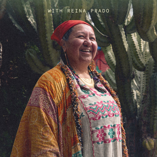 Shamanic Elements in Reiki Training Level 1 with Reina Prado Saturday November 22nd