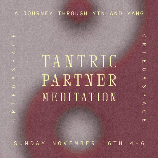 Tantric Partner Meditation with Chantal Peterson Sunday November 16th