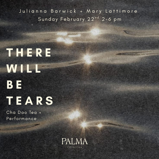 THERE WILL BE TEARS: Julianna Barwick + Mary Lattimore February 22nd