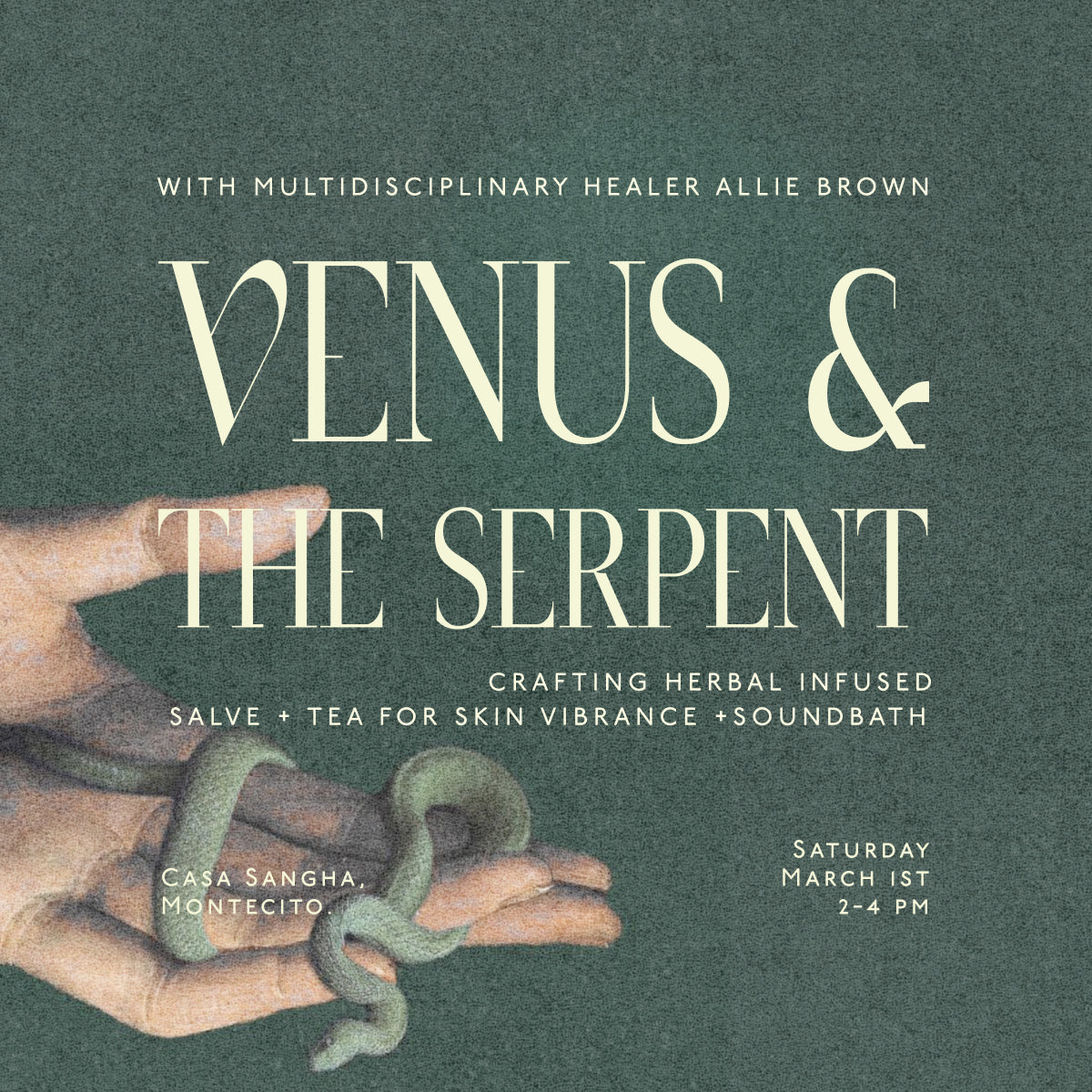 Venus & The Serpent: Crafting Herbal Infused Salve + Tea + Sound with Allie Brown Saturday March 1st