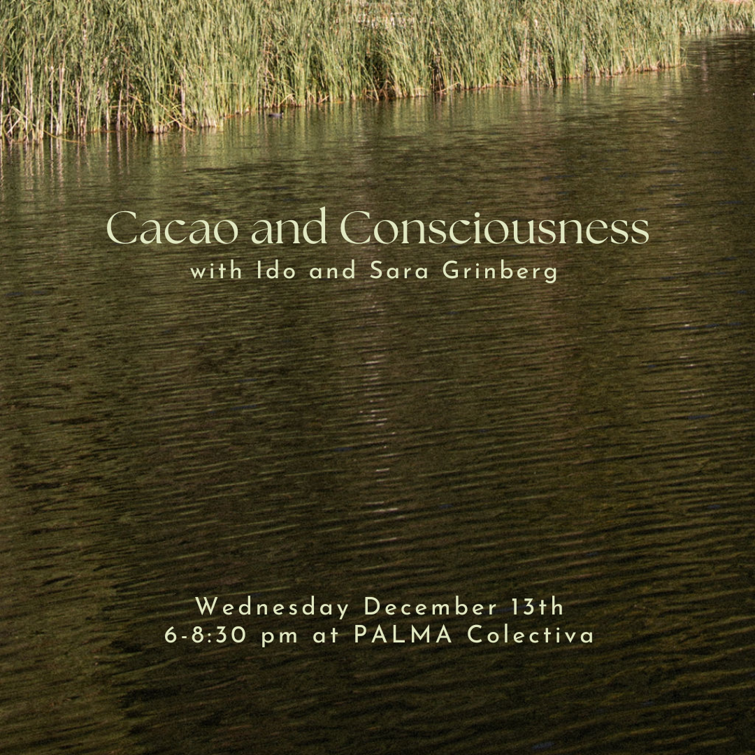 Cacao and Consciousness Wednesday December 13th