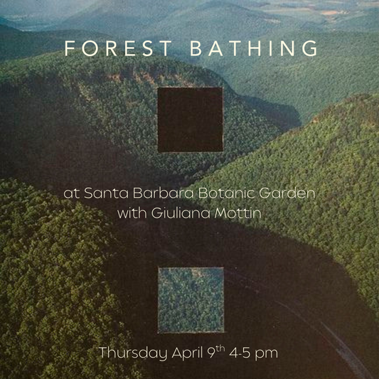 Forest Bathing at Santa Barbara Botanic Garden with Giuliana Mottin Thursday April 9th