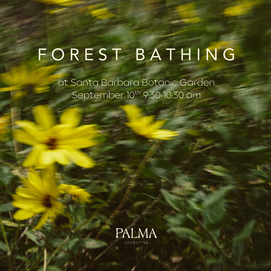 Forest Bathing at Santa Barbara Botanic Garden with Giuliana Mottin Thursday September 10th